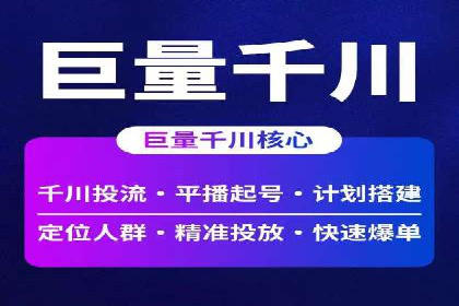 竞价广告的投放时机与频次选择——基于案例的探讨